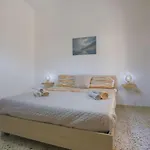 Grandmother's House -